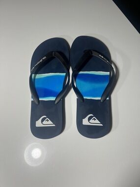 Quiksilver Navy and Bright Blue Striped Men's Flip Flops